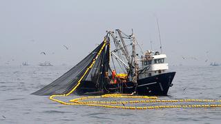 SNP espera mejora en competitividad pesquera para este año