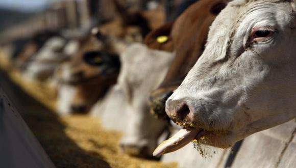 Rumanía detecta posible caso de mal de vacas locas