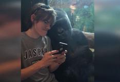 Este gorila se sorprende con las fotos que ve en un celular | VIDEO