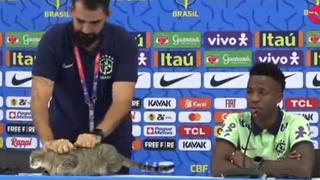 Gato se vuelve viral por interrumpir la conferencia de prensa de Vinícius Júnior | VIDEO