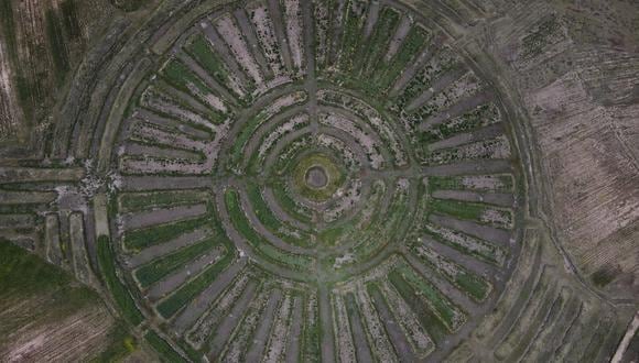 Una vista aérea revela geoglifos fabricados por la comunidad de Caritamaya siguiendo un sistema agrícola ancestral llamado Suka Q'ullus o Waru Waru, en un campo en el distrito de Acora en Puno, Perú, el 1 de febrero de 2024.