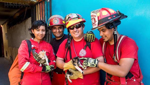 Bomberos voluntarios crearon brigada de rescate animal