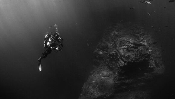 Kristian  Laine logró fotografiar una espectacular criatura en el fondo del mar en Australia. | Foto: Referencial/Pixabay