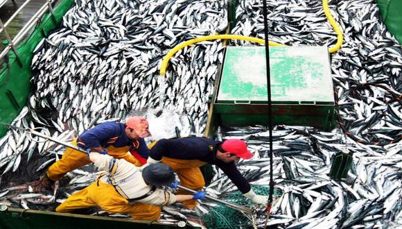 Industria pesquera plantea reducir costo del Programa de Control y Vigilancia.