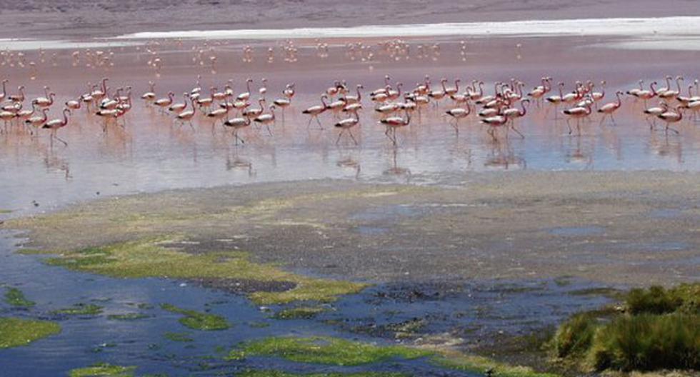 NASA muestra la desaparición del segundo lago más grande de Bolivia. (Foto: larazon.com.bo)