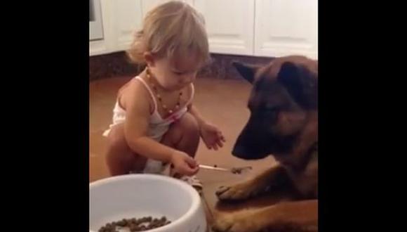 Tierna niña da de comer a su perro con una cuchara [VIDEO]