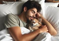 ¿Duermes con tu perro o gato? Conoce los riesgos que advierten los especialistas