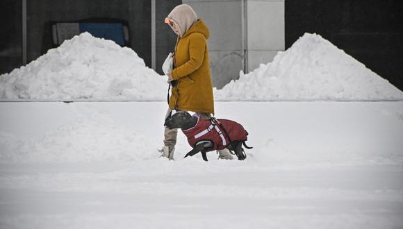 Una mujer pasea a su mascota después de una fuerte nevada en el oeste de Moscú el 15 de diciembre de 2023. (Foto de Alexander NEMENOV / AFP)