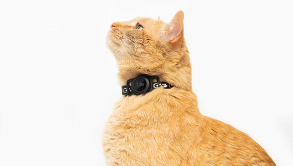 El collar que te ayuda a rastrear a tus gatos por Bluetooth. (Foto: Tile)