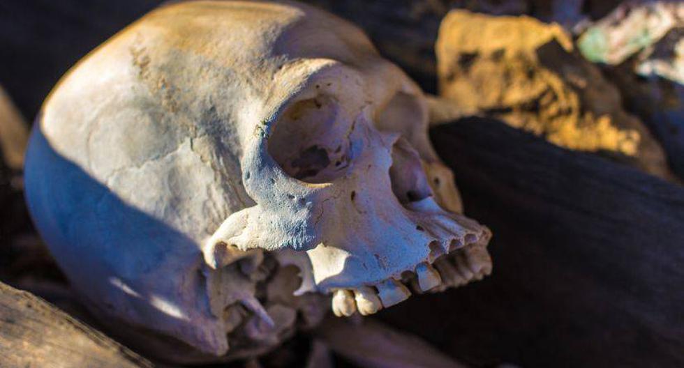 Investigadores midieron 1.400 cráneos antes de sacar sus conclusiones. (Foto: IamNotUnique/Flickr)