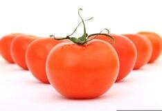 El truco para mantener los tomates frescos por más tiempo