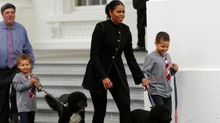 Michelle Obama recibe árbol navideño que adornará Casa Blanca