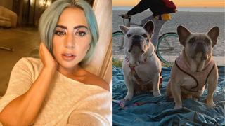 Lady Gaga dará “con mucho gusto” recompensa de US$500.000 a mujer que encontró a sus perros