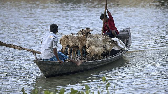India: inundaciones causan más de 90 muertos - 5