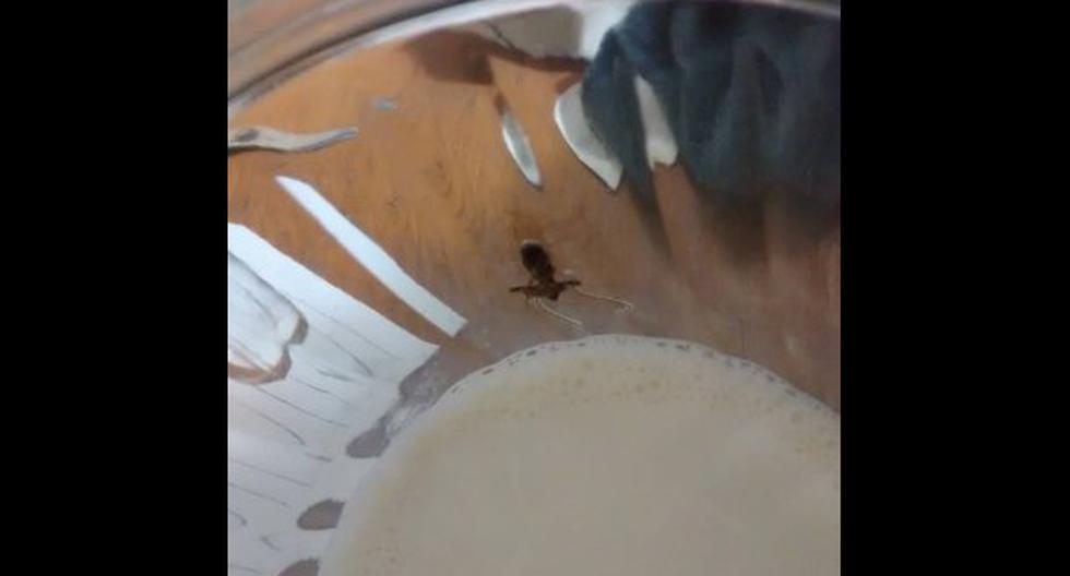 Usuaria denunció que encontró un insecto en una bola de leche de la marca Gloria. (Foto: Facebook)