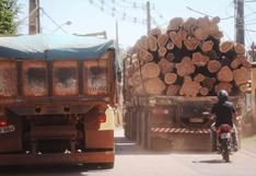 Medio ambiente: ¿por qué aumentó tráfico de madera en Latinoamérica?