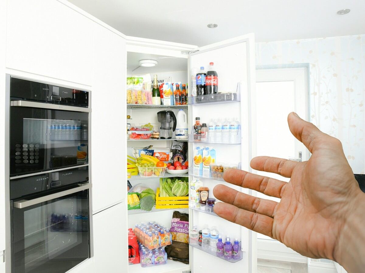 Cuándo enchufar un frigorífico nuevo