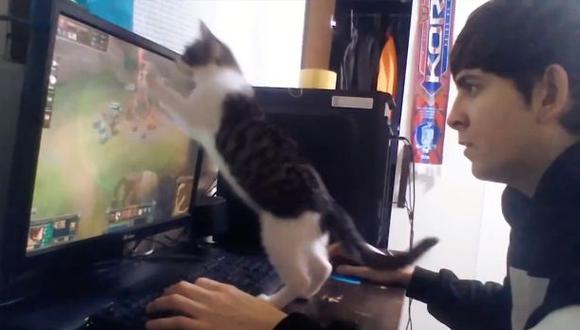 Facebook: gato se adueña de juego "League of Legends" (VIDEO)