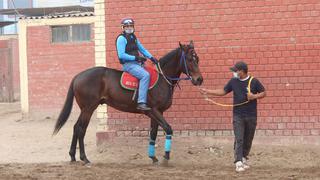 Gran Derby Nacional 2021: los mejores ejemplares del Perú listos para conseguir la gloria