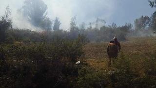 Áncash: incendio forestal destruye 10 hectáreas de sembríos