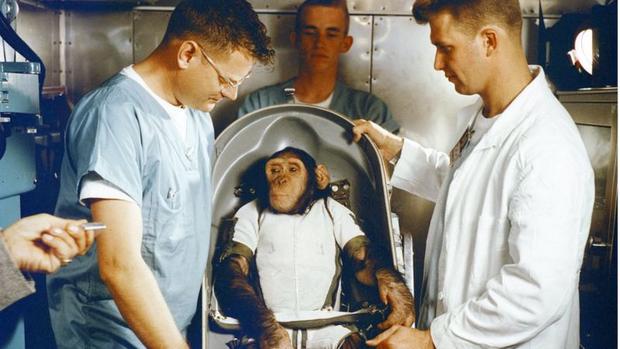 NASA used monkeys on various space trips;  eight of them died.  (POT).