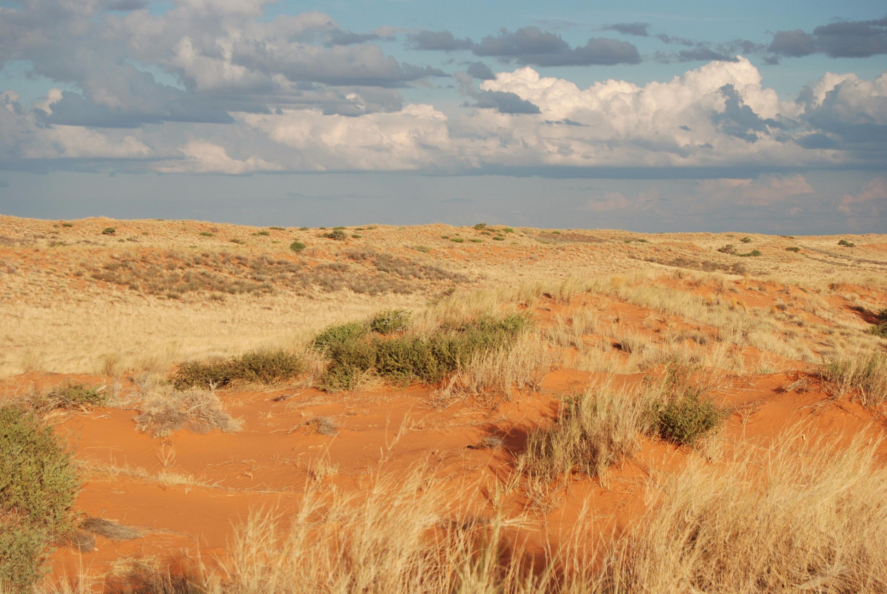 Paisaje cultural de los Khomani, en Sudáfrica. (Unesco / Francois Odendaal Productions)