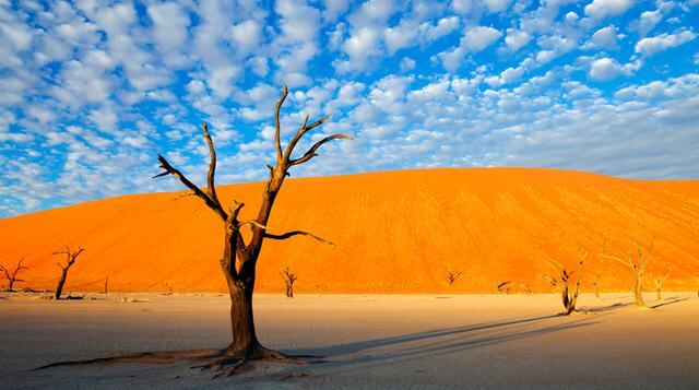 El Dead Vlei:Este lugar en Namibia parece sacado de una pintura - 2