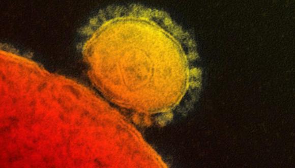 Confirman primer caso de virus MERS en EE.UU.