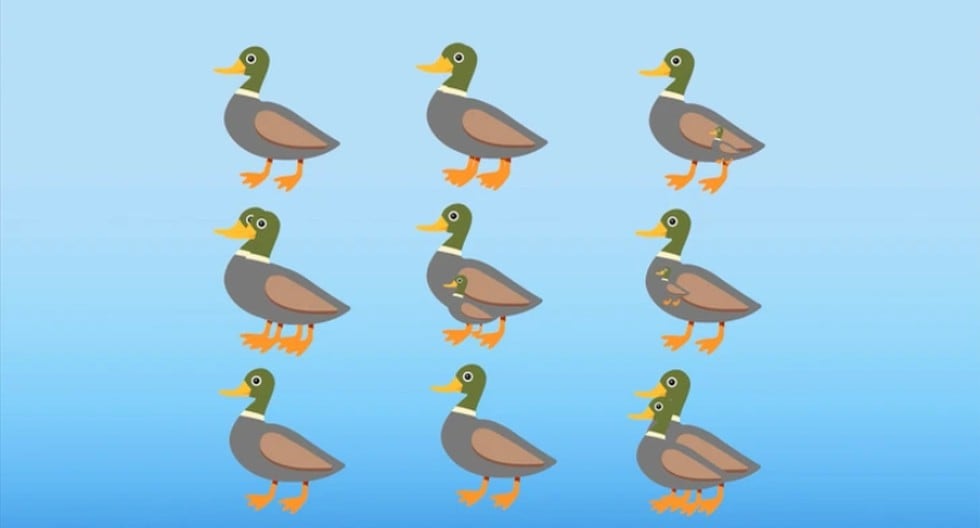Reto visual: Indica la cantidad exacta de patos y demostrarás que eres muy inteligente
