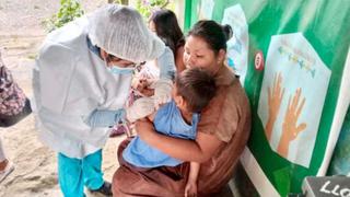Minsa completa vacunación de más de 10 mil personas en riesgo por transmisión de rabia silvestre
