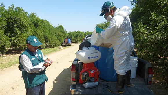 Senasa monitorea plagas ante El Niño costero