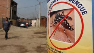 Niño costero: repartirán polos antimosquitos a población en riesgo