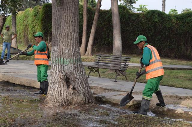 La Municipalidad de Jesús María junto al Grupo Operativo de Áreas Verdes (GOAV) inició la recuperación de áreas verdes del Campo Marte. (Foto: Municipalidad de Jesús María)