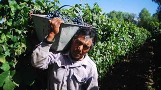 La otra ruta del vino: Recorre estas bodegas en Argentina
