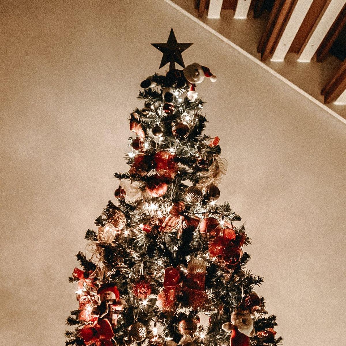 Todo lo que debes poner en tu árbol de navidad y qué representa