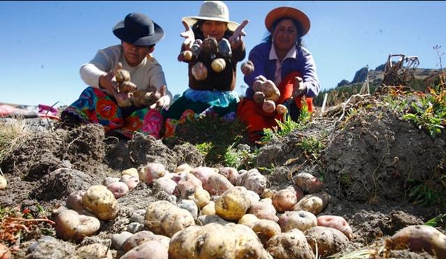 Perumin Inspira, iniciativa desarrollada por Kunan, junto al Instituto de Ingenieros de Minas del Perú y el Centro Internacional de la Papa anunciaron a los 10 proyectos que presentarán sus negocios de impacto social en Perumin este 19 de setiembre.