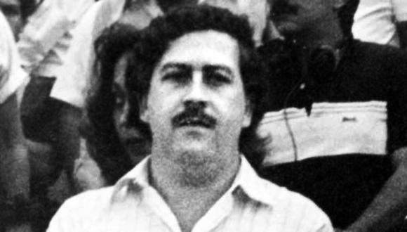 La plaga de animales más grande del mundo que Pablo Escobar dejó al morir. (Foto: AFP)