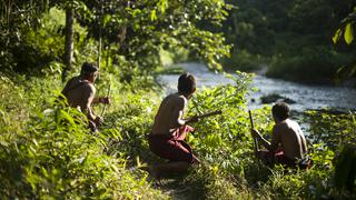 Guardianes de la Amazonía: ¿Cuánto influyen los pueblos indígenas para mantener las reservas de carbono?