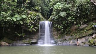 Cascada de Pishirayacu: descubre este fascinante atractivo de San Martín