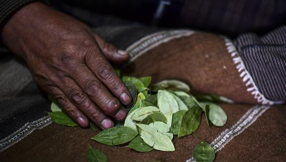 Imagen de archivo | Los chamanes aymaras utilizan la lectura de hojas de coca, una tradición andina ancestral, para predecir el resultado de las elecciones del 18 de octubre en Bolivia. (Foto de RONALDO SCHEMIDT / AFP)