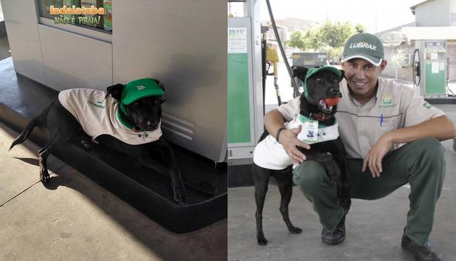 Perro callejero es adoptado por empleados de una gasolinera en Brasil y recibe el puesto de gerente. La historia es viral en las redes sociales. (Facebook)