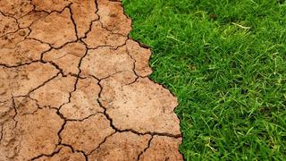 Más del 90% del suelo podría estar degradado en el año 2050