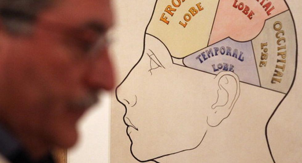 El cerebro humano es muy bueno reconociendo rostros y ahora, para sorpresa de los científicos, se ha descubierto que precisamente la parte del cerebro que se dedica a esa labor sigue creciendo incluso en la edad adulta. (Foto: Getty Images)