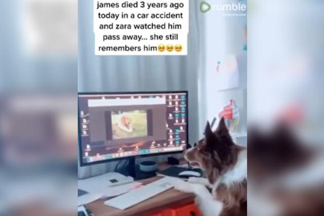 Zara reconoció a su amigo James en un video. | Foto: Rumble Viral/YouTube