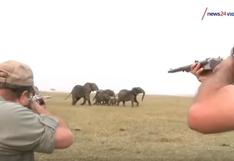 Cazadores matan al líder de una manada elefantes y la reacción de estos es desoladora