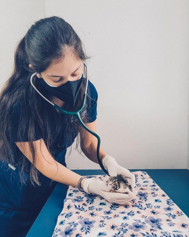 La médico veterinaria Paz Bringas es especialista en neonatología felina. Para conocer más sobre el tema, puedes seguirla en Instagram como @paz.kittenvet .