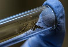Qué factores han provocado que Latinoamérica viva “la mayor epidemia de dengue de su historia”
