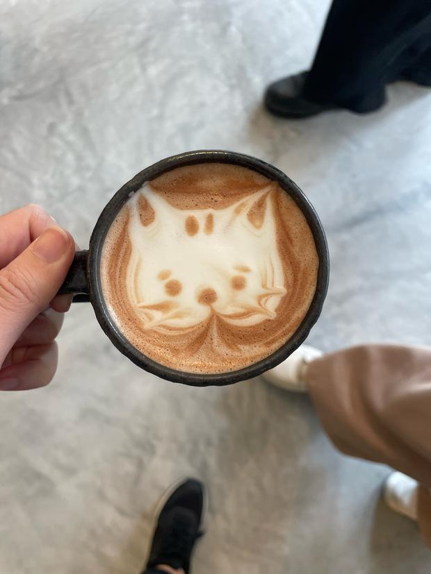 Gatu cat coffee