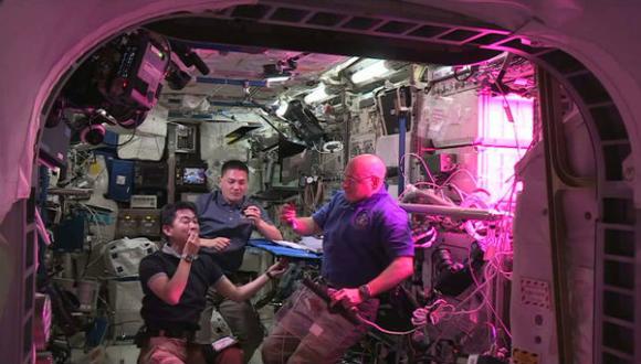 Astronautas prueban lechuga cultivada en el espacio [VIDEO]