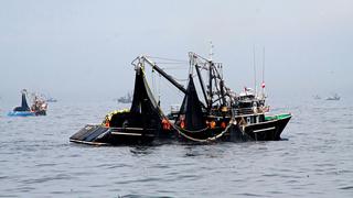 Produce: Se desembarcó 49,33% de cuota de pesca de anchoveta